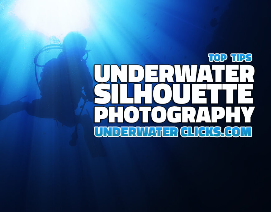 Underwater Silhouette Photography Tips