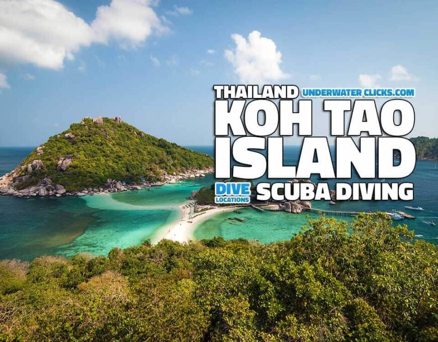 Scuba Diving Locations - Koh Tao Thailand