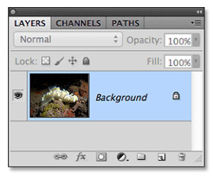 removing back scatter with photoshop