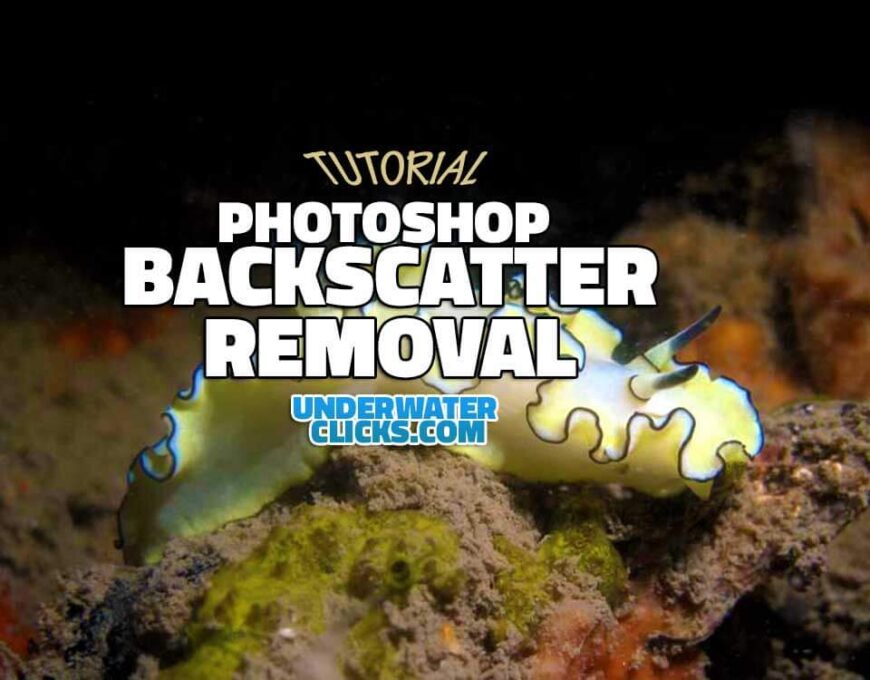 photoshop backscatter removal tutorial