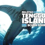 Scuba Diving Locations - Palau Tenggol Malaysia