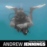 Andrew Jennings - Underwater Photographer