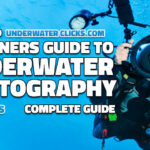 Complete Guide To Underwater Photography For Beginners
