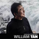 William Tan - Underwater Photographer