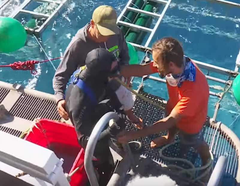 Diver Escapes Shark Inside Cage Diving Mexico