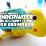 Top 10 Tips Underwater Photography Terms For Beginners