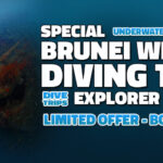 Brunei Dive Trip Special Offer Underwater Clicks