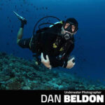 Featured Underwater photographer Dan Beldon