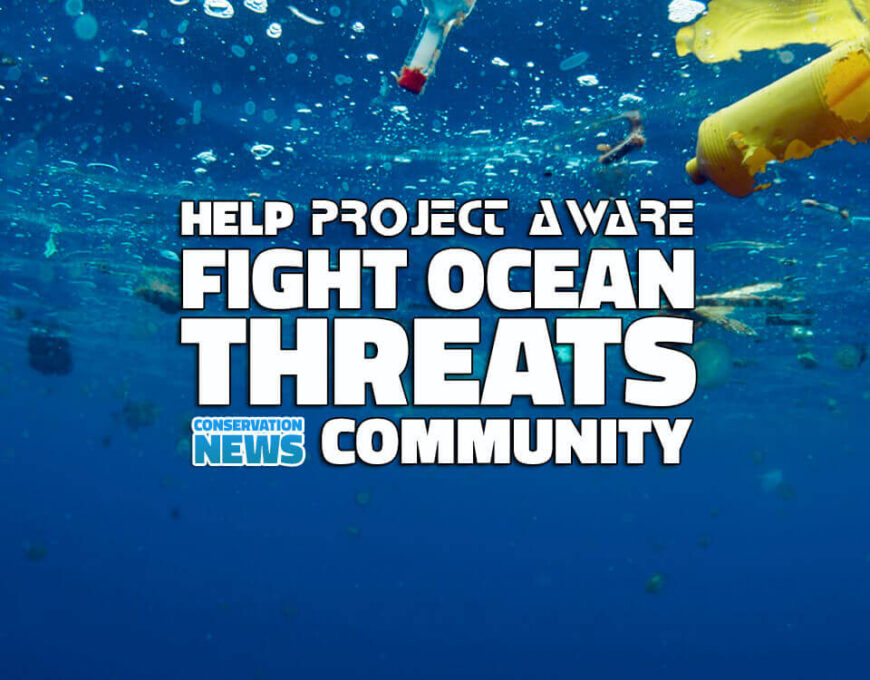 Project Aware Help Save Oceans
