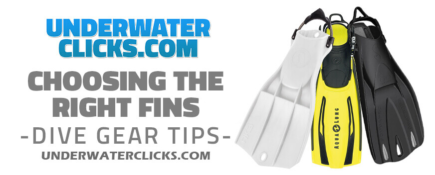 Dive Gear Tips - Choosing The Right Fins