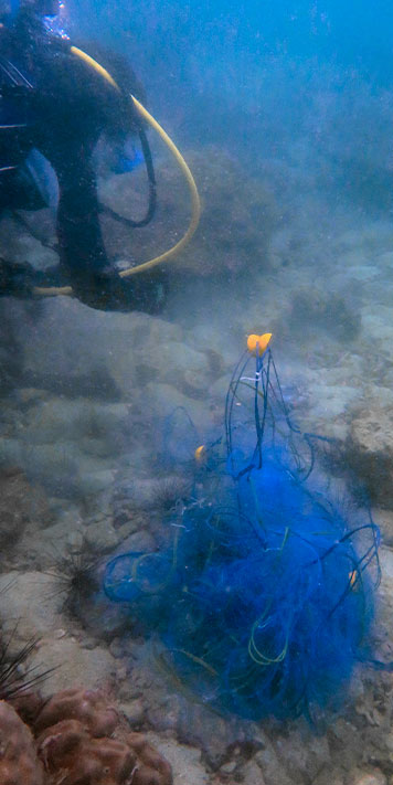 Scuba diver removed Abandoned fishing net