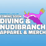 UWC Dive Nudibranch T-Shirts gifts clothes