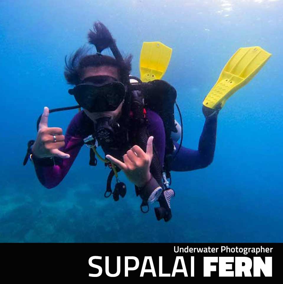 Underwater Photographer Pattaya Thailand Supalai Fern