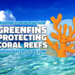 GreenFins PROTECTING CORAL-REEF Eco Ocean Conservation