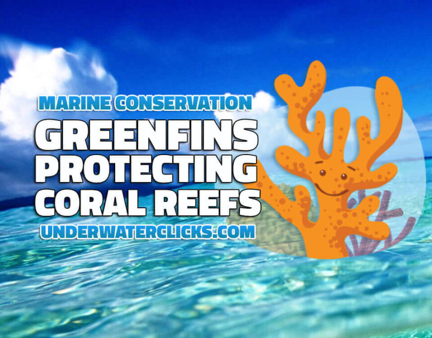 GreenFins PROTECTING CORAL-REEF Eco Ocean Conservation