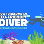 How to become an eco friendly scuba diver