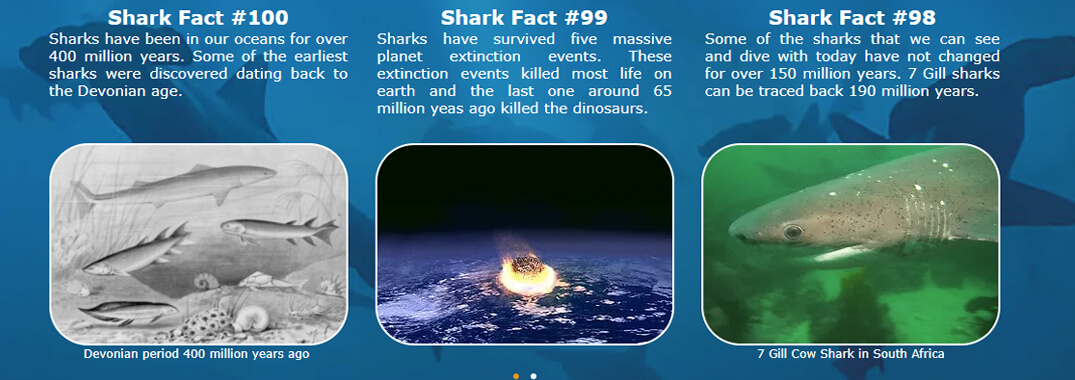Sharkguardian Educational Materials
