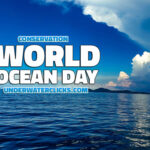 World Ocean Day
