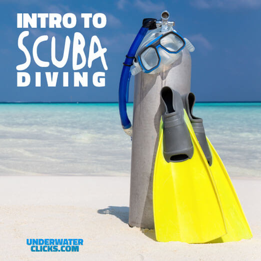 Beginner guide to scuba diving Underwater clicks