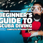 Beginner's Guide to Scuba Diving Underwater Clicks