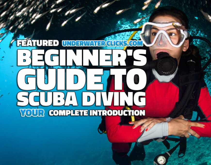 Beginner's Guide to Scuba Diving Underwater Clicks