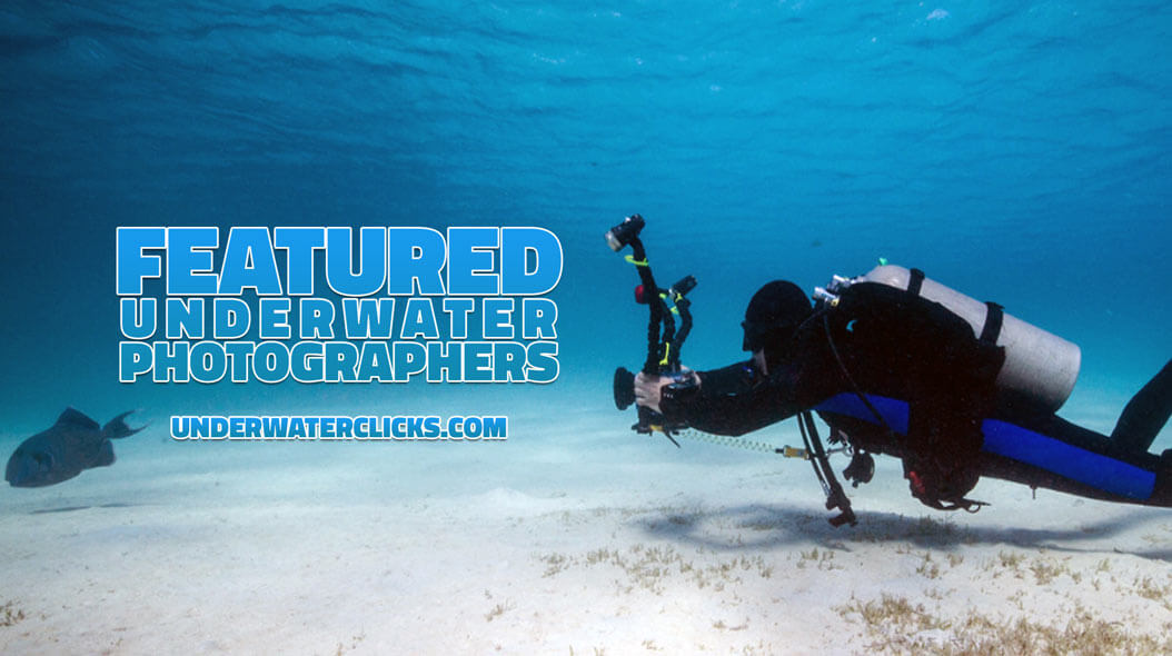 Featured Best Underwater Photographers