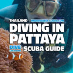 Scuba Diving in Pattaya Thailand -Underwaterclicks.com
