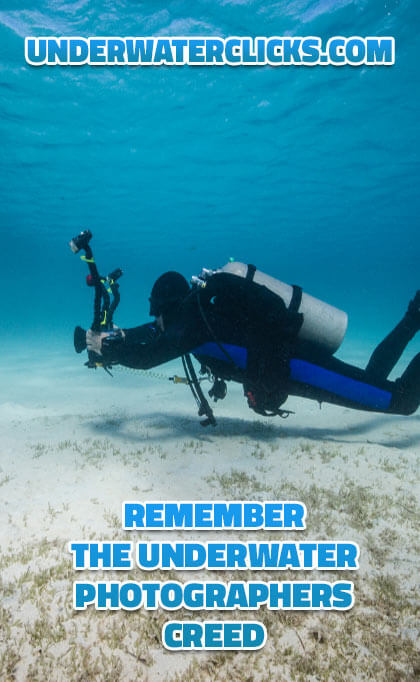 Underwater Photographers creed